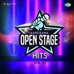 Open Stage Hits - Vol 57 - Sadhvi Purnima Ji Song Download